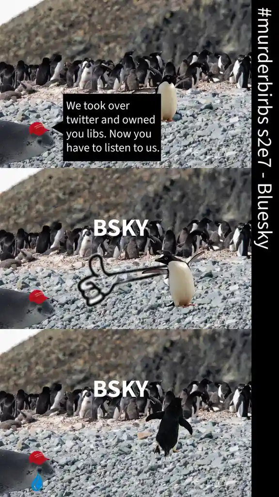 A three-panel meme featuring a seal wearing a red 'Make America Great Again' hat and penguins. In the first panel, the seal…
