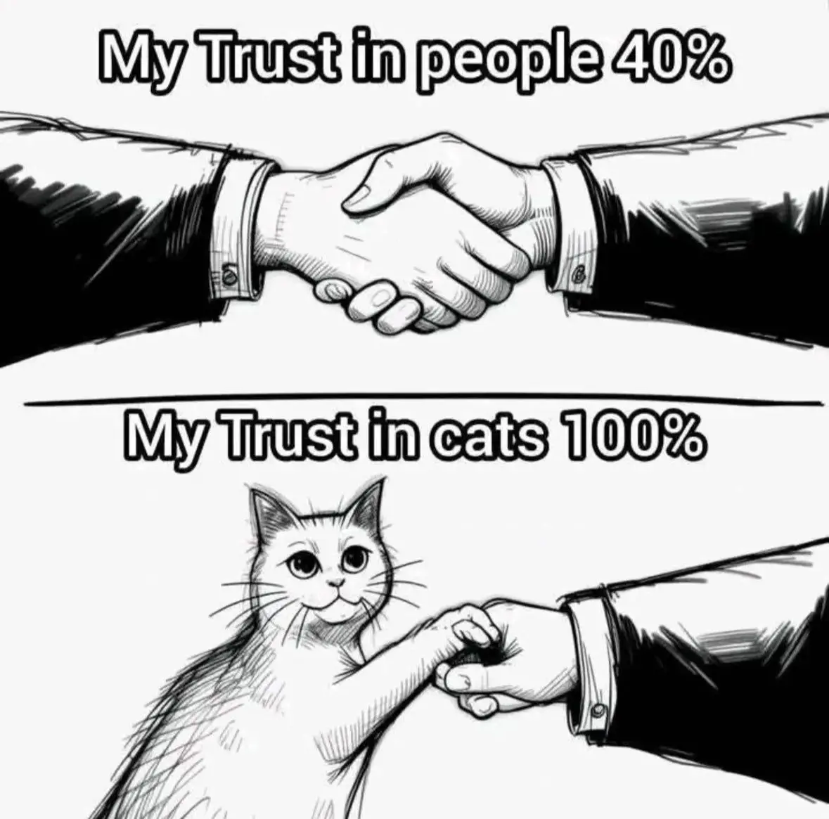 A black-and-white sketch shows two people shaking hands, labeled 'My Trust in people 40%'. Below a dividing line, a cat is…
