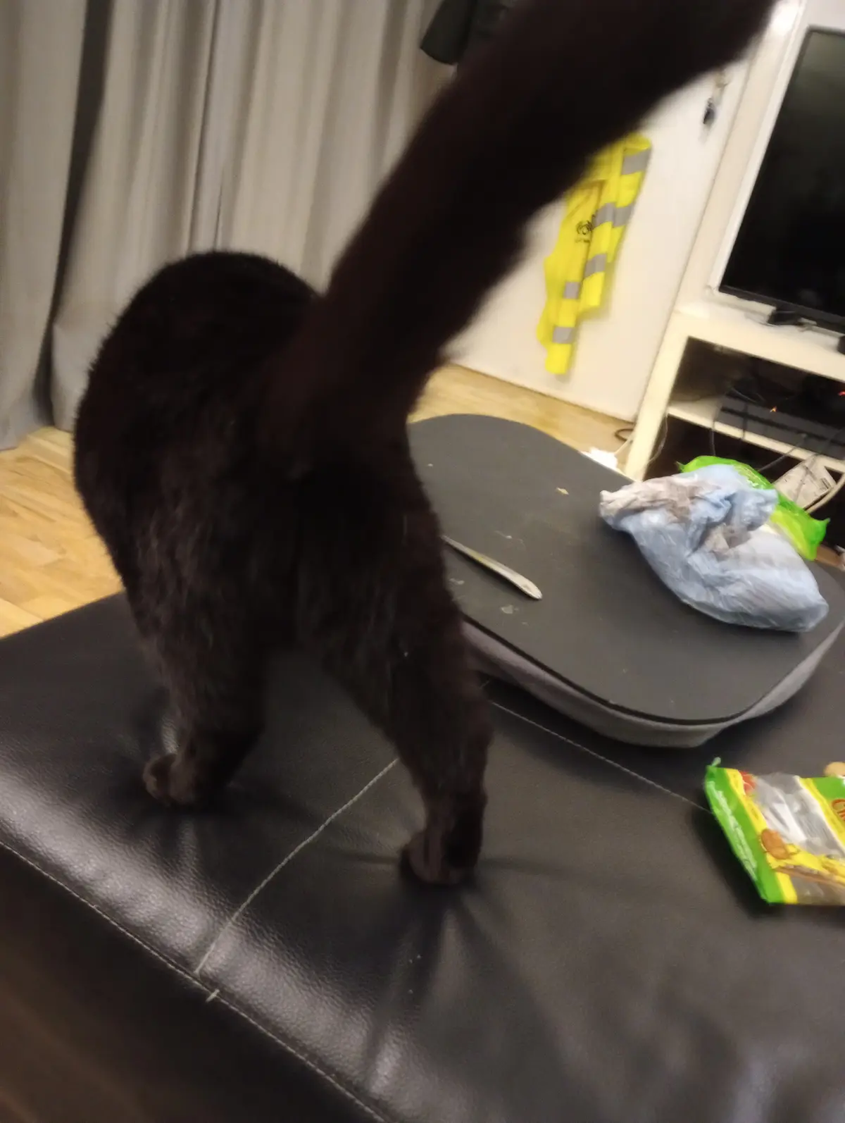 A black cat stands on a black leather couch, its tail arched high in the air, obscuring its head. The background shows a…