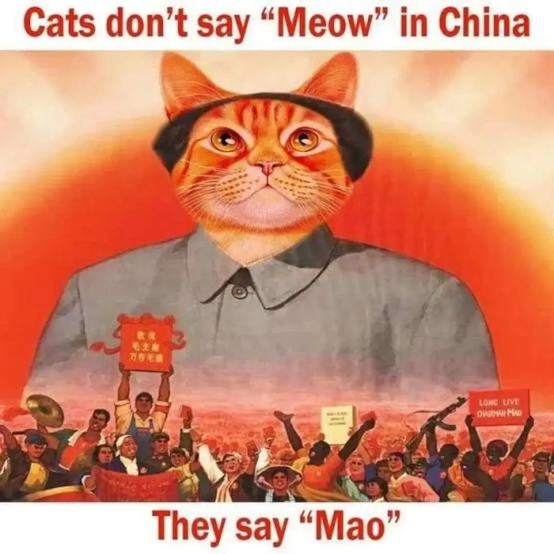 An image of a cat with an orange tabby face wearing a black cap and grey Mao-style suit, superimposed on a classic Chinese…