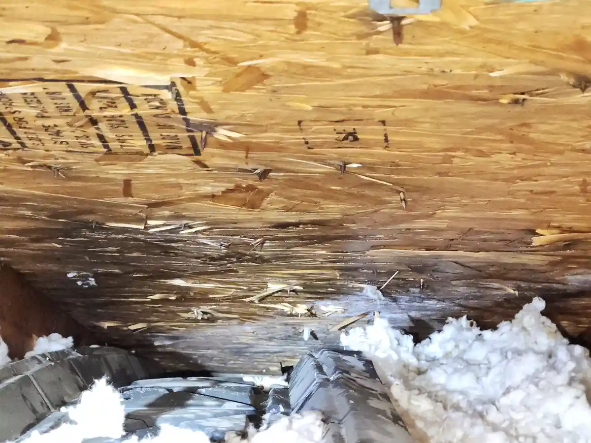 The image shows a damaged ceiling with visible water stains and mold on the wooden surface, surrounded by insulation…
