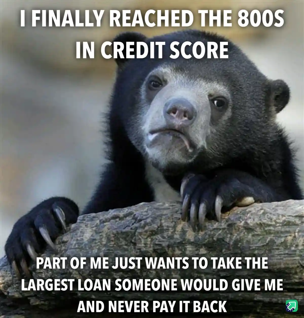 A close-up photo of a sad-looking, dark-furred bear with a downturned mouth, resting its paws on a log. White bold text…