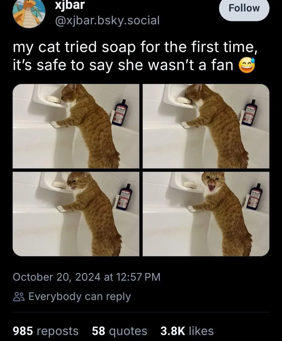 The Enigmatic Soap Cat: A Purr-fect Mystery