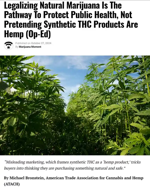 Why Legalizing Natural Marijuana is Key to Public Health: An Insightful Op-Ed