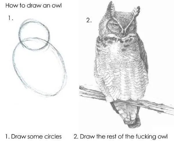 The image shows a two-step 'how to draw an owl' guide. Step 1 displays two overlapping circles labeled '1. Draw some…