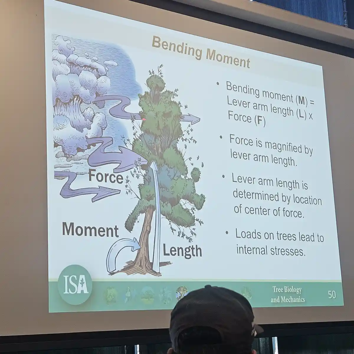 A presentation slide titled 'Bending Moment' illustrates a tree being bent by wind, with arrows labeled 'Force', 'Moment'…