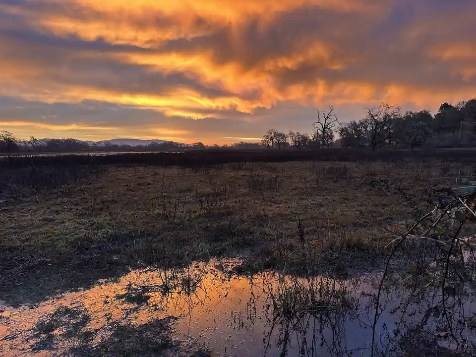 A serene landscape photo of a field at sunset, with dramatic orange and purple clouds reflected in a puddle of water in the…