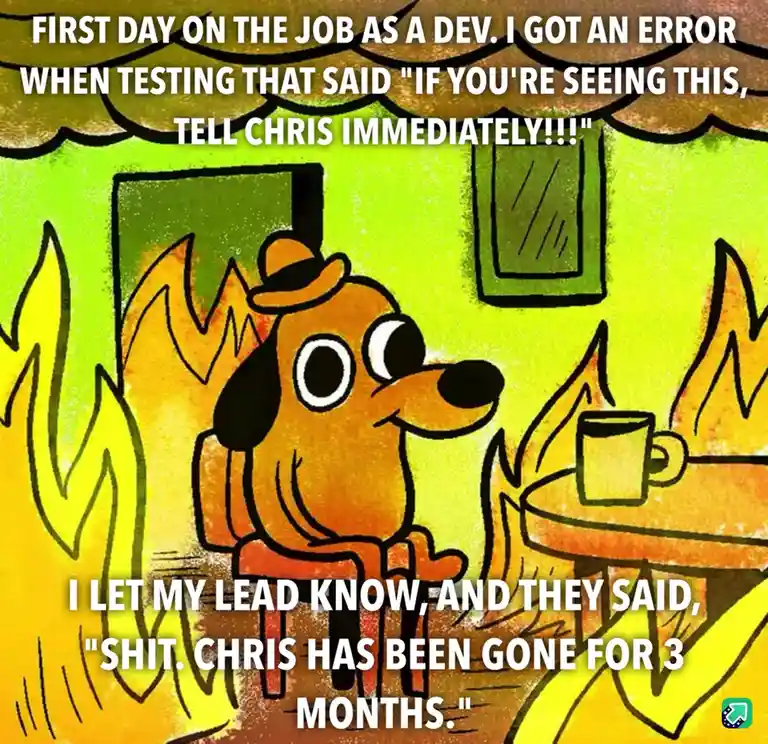 A cartoon dog wearing a hat sits calmly in a room surrounded by flames, holding a mug. The text describes a new developer…