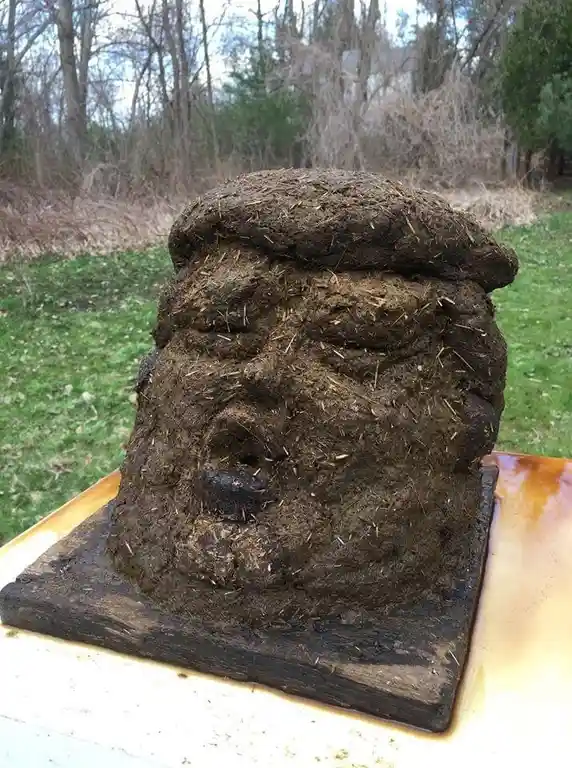 a crudely sculpted bust resembling donald trump, made entirely of dark, textured manure with visible straw or hay strands…
