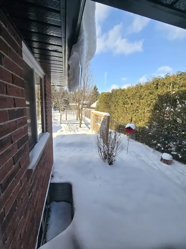 A snowy backyard viewed from a porch, showing a large icicle hanging from the roof edge, snow-covered ground, a red bird…