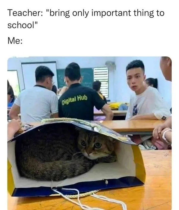 A classroom scene where a tabby cat is curled up inside a large blue and yellow shopping bag resting on a desk. The cat has…