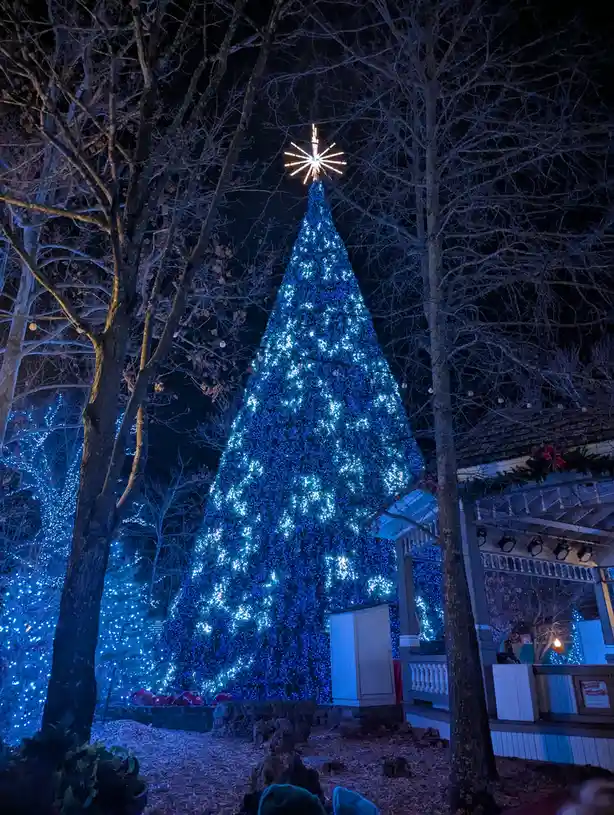 A large, brightly lit blue Christmas tree stands at night, surrounded by bare trees and a gazebo, with overlaid text reading…