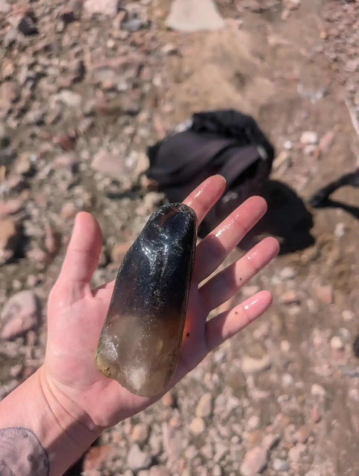 A person's hand holds a smooth, elongated, dark-tipped object with a translucent, amber-colored base, found on a pebbly…