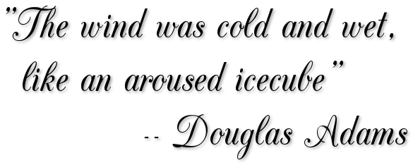 A white background with black cursive text displaying a quote attributed to Douglas Adams: 'The wind was cold and wet, like…