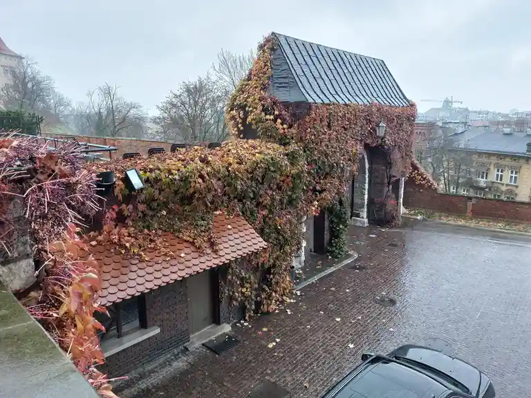 A photo of a brick building covered in autumn ivy with red and orange leaves, set against a gray, overcast sky. The building…