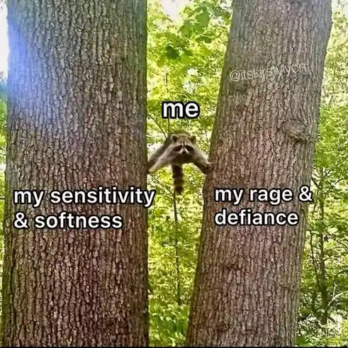 A raccoon peeks out from between two tree trunks in a forest, with text labeling the animal as 'me' and the two sides of the…