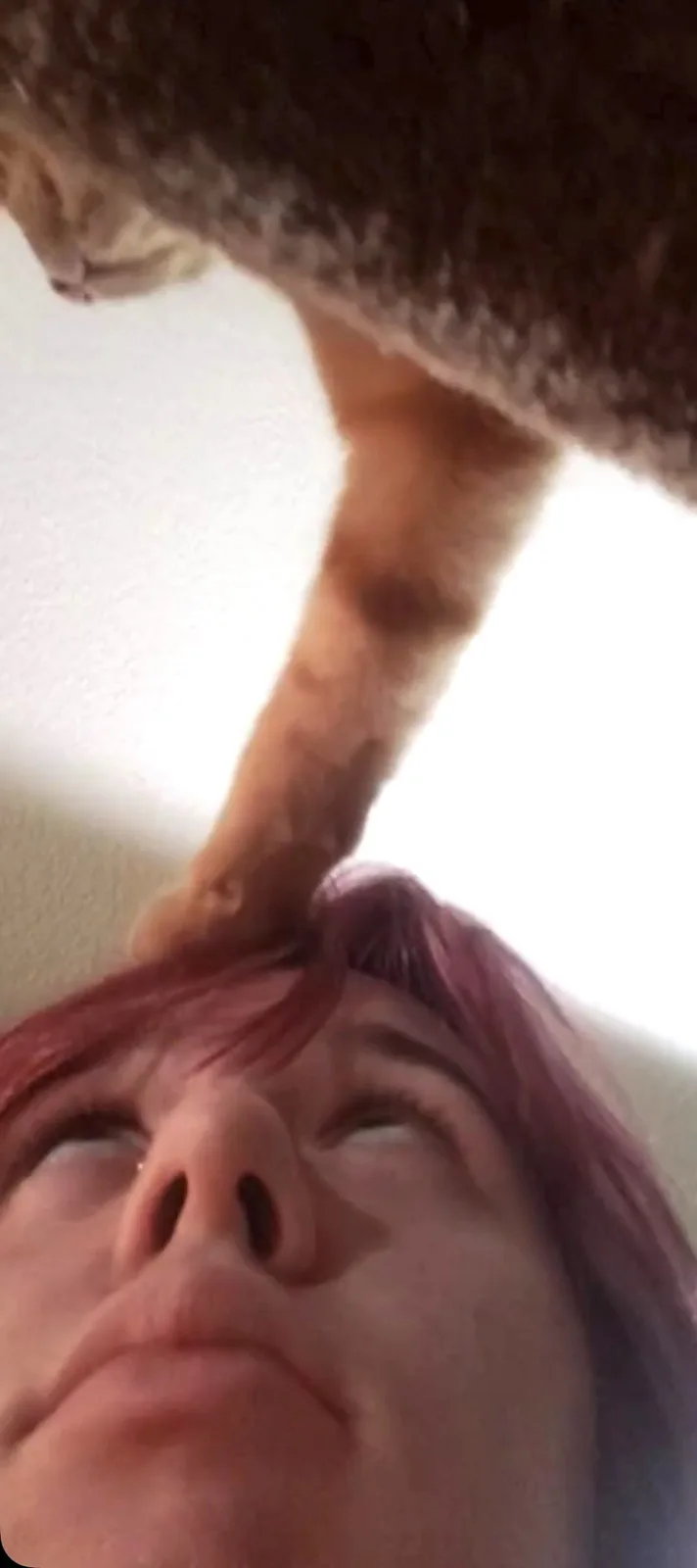 A low-angle shot shows a person with reddish hair looking up with wide eyes as a tabby cat's paw rests on their forehead…