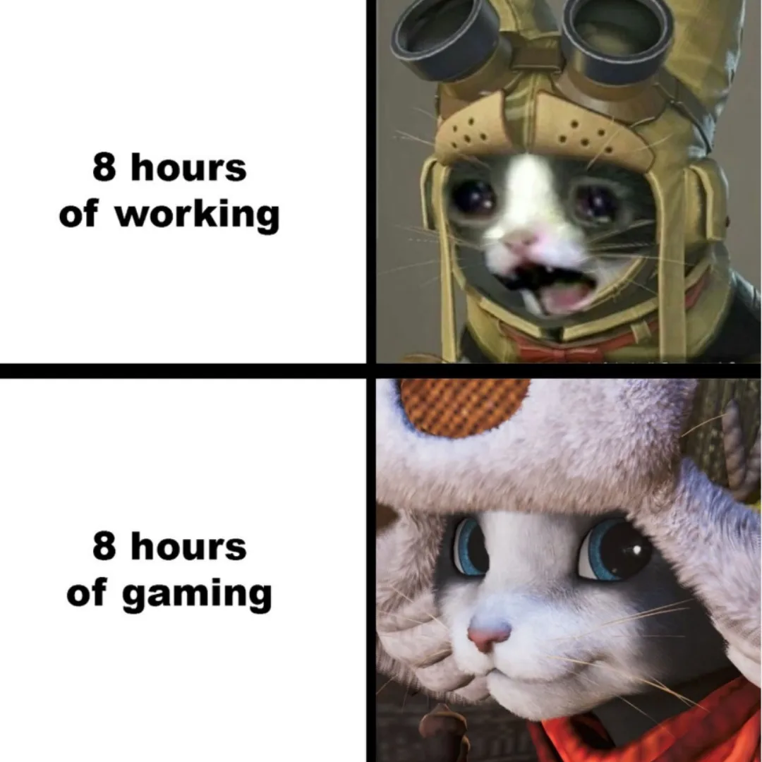 The meme features two panels with cats in different outfits. Top panel: a cat in a tan helmet with goggles, looking…