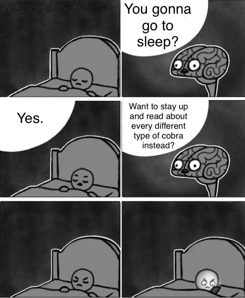A four-panel black-and-white comic strip shows a person in bed. In the first panel, a brain asks if they're going to sleep…