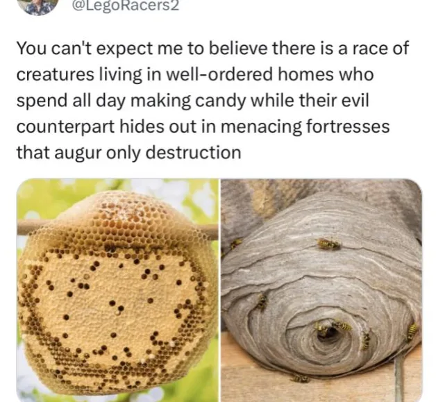 The image displays two side-by-side photos: on the left, a neatly structured, golden honeycomb with visible hexagonal cells…