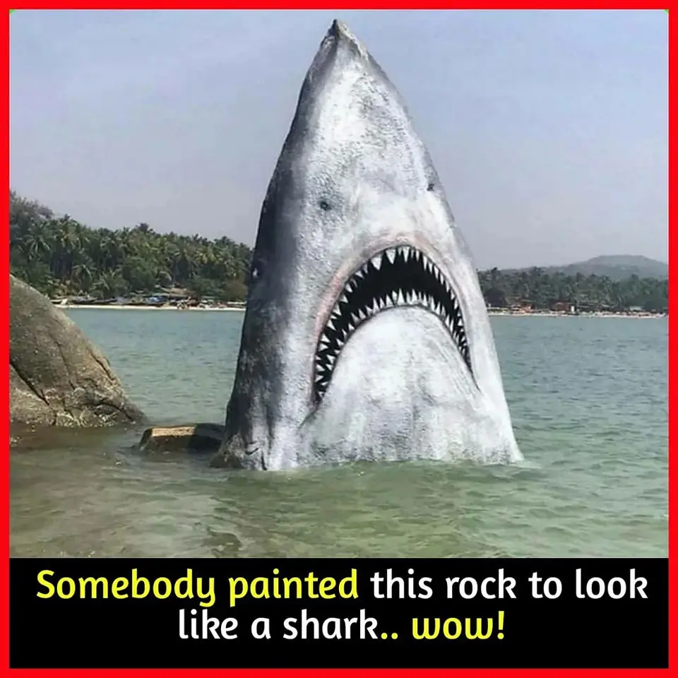 A large rock in shallow water is painted to resemble a shark's head with an open mouth full of sharp teeth, set against a…