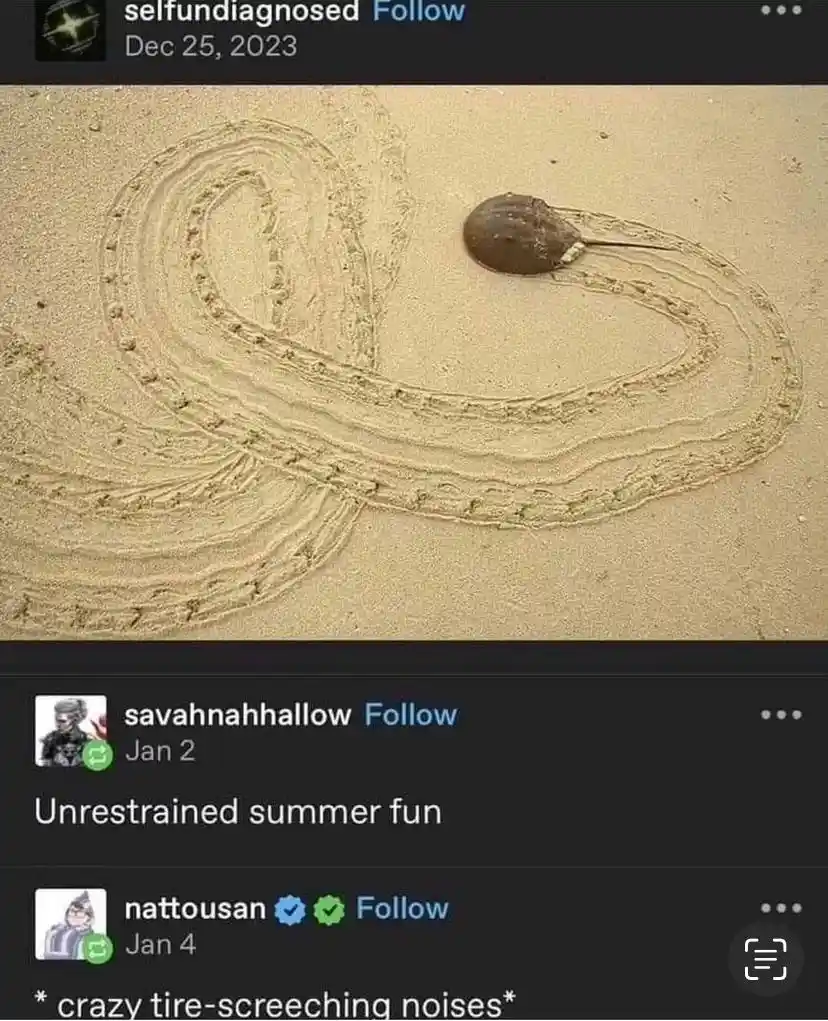 A horseshoe crab is seen on a sandy beach, having dragged itself in a complex, looping pattern that resembles a tangled knot…