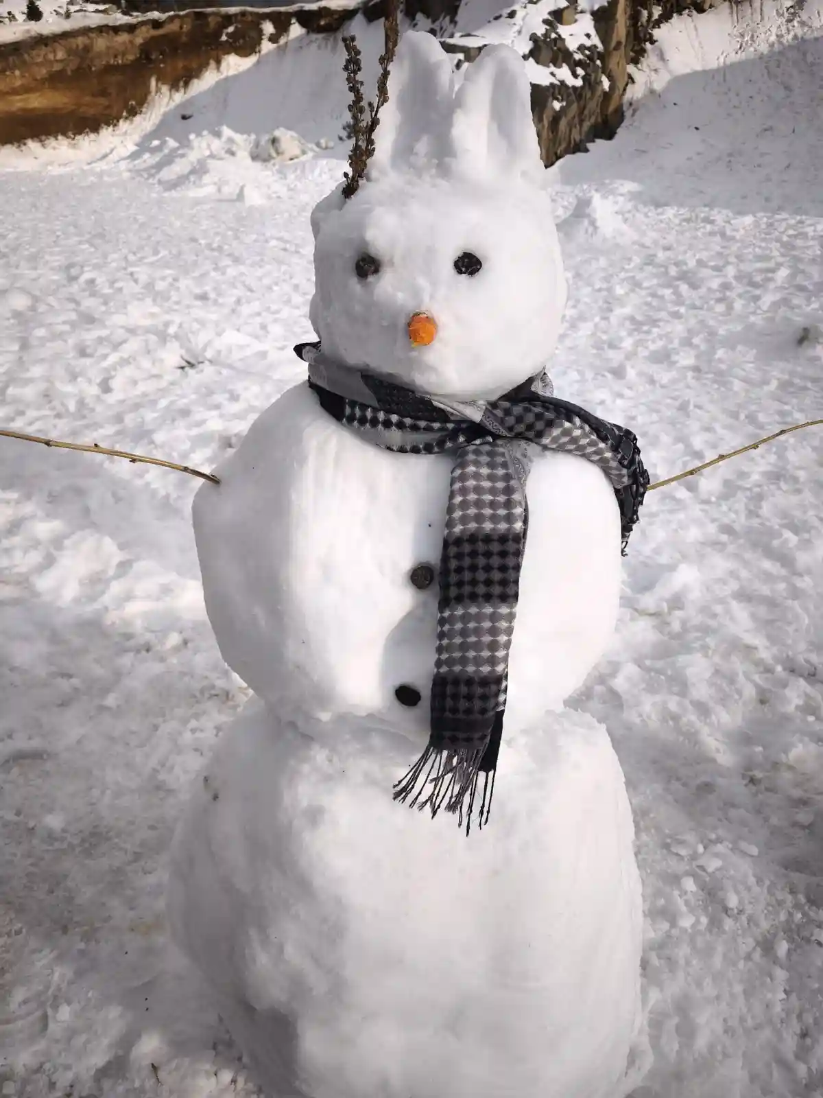 A snowman with bunny ears made from snow, wearing a black and grey patterned scarf and twig arms, stands in a snowy…