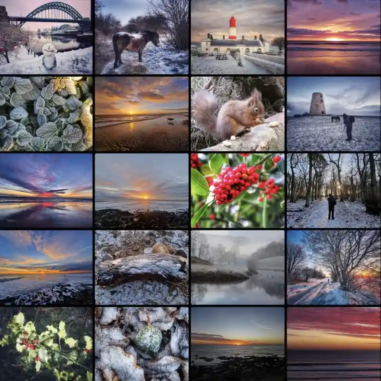A 4x5 grid collage of 20 winter-themed photographs showing snowy landscapes, frost-covered plants, a red squirrel, a…
