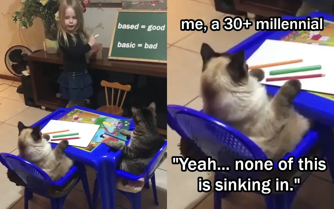 A split image shows a young girl teaching two cats seated at a small blue plastic table with crayons and paper, while a…