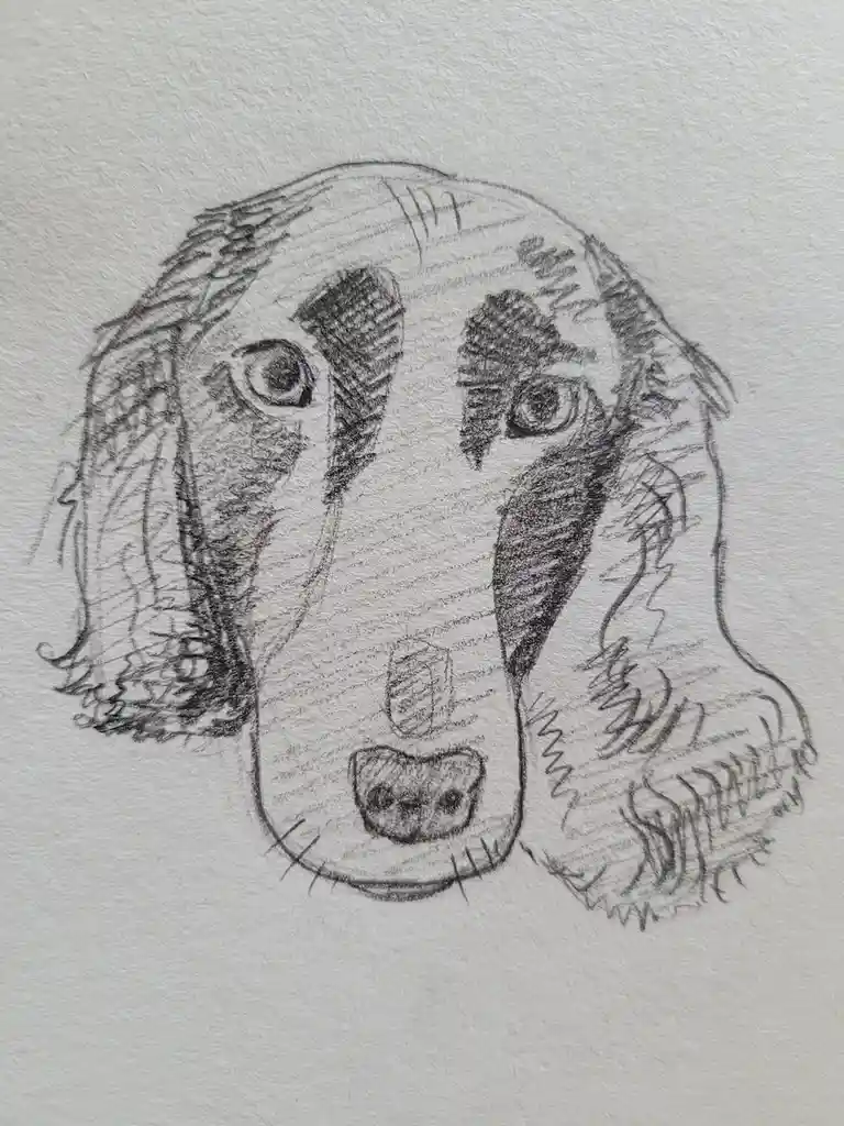 A pencil sketch of a dog's head on textured paper, featuring large, expressive eyes and floppy ears. The overlaid text reads…