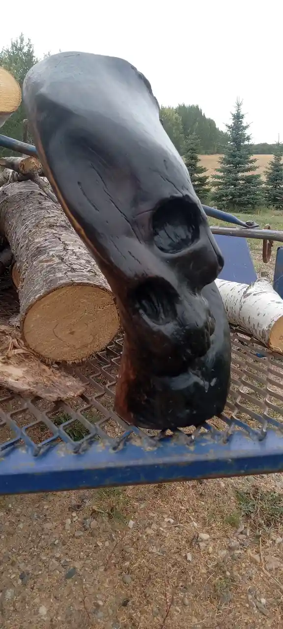 A dark, glossy wooden skull carved from a log rests on a blue metal trailer bed, surrounded by other logs and trees in the…